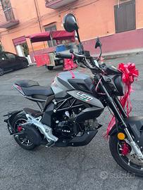 Moto lem brutus