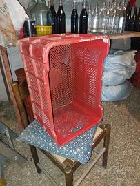 Cassette plastica per raccolta olive