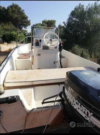 Barca con motore