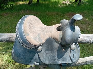 Selle pony