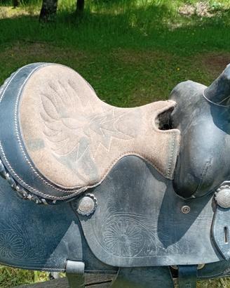 Selle pony