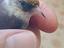 Immagine 1