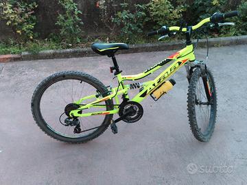 bicicletta da uomo
