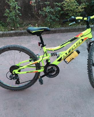 bicicletta da uomo