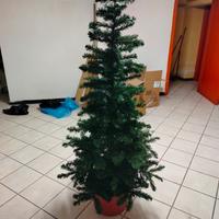 albero di natale 