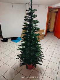 albero di natale 