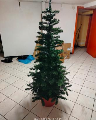 albero di natale 