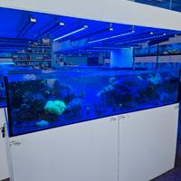 Acquario Marino 