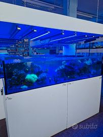 Acquario Marino 