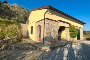 Rustico in sasso con uliveto