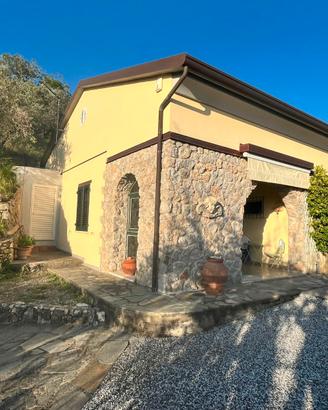 Rustico in sasso con uliveto