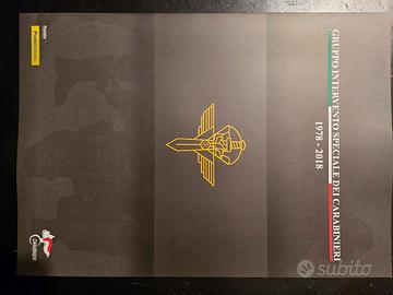 Francobollo 40* anniversario GIS 