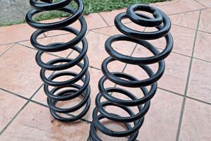 Molle ammortizzatori