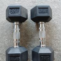 manubri peso 7kg 
