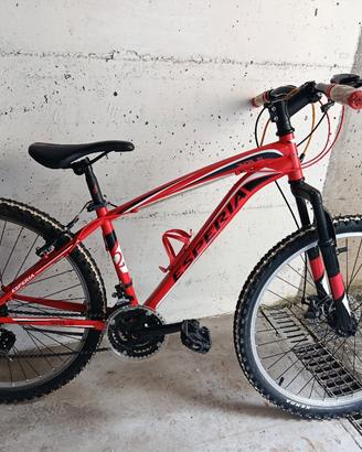 MTB ESPERIA 