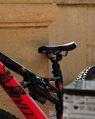 Specialized Enduro Elite carbon "29