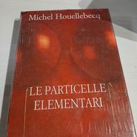 Le Particelle Elementari 