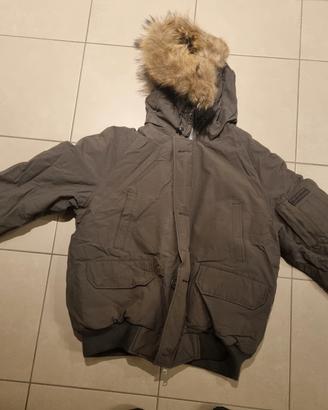 Bomber Bull & Bear verde militare