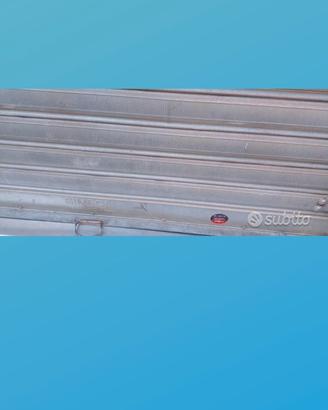 Genny adetto volantinaggio disp.imm ? ?