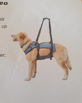 imbracatura cane 