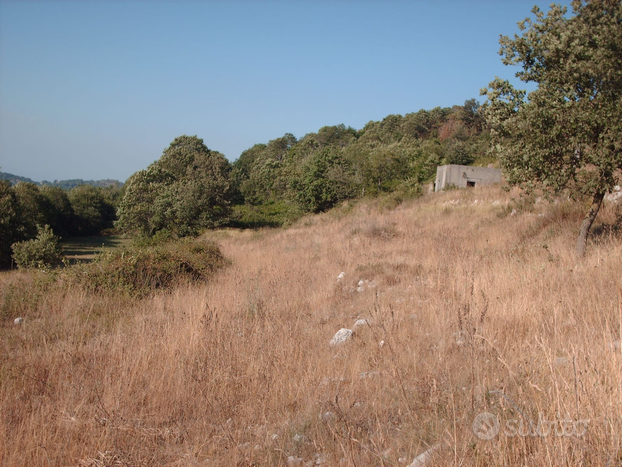 Terreno agricolo in località Rapugliano, Caserta