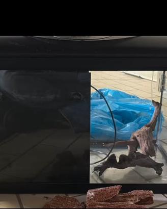 Acquario 63lt +extras