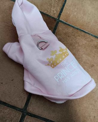 Pettorina cani Formia