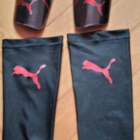 Parastinchi puma