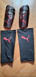 Parastinchi puma