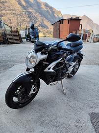 MV Agusta brutale 800 EAS  my 2018