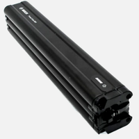 Batteria Bosch PowerTube 800 Wh + Caricabatterie