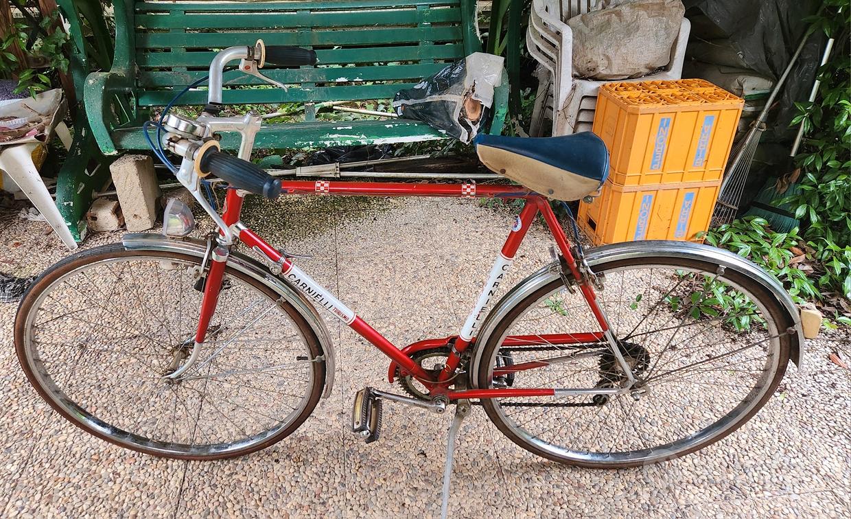 Carnielli bici Fantastiche offerte di Biciclette