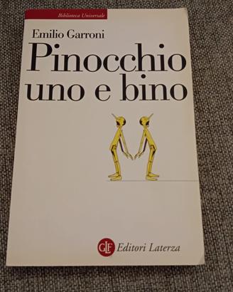 Pinocchio uno e bino Garroni 2010