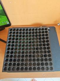 Xbox serie x 