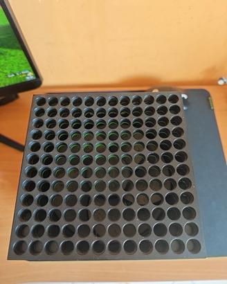 Xbox serie x 