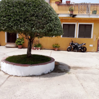 Casa vacanze Ulivo Fiorito