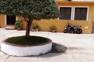 Casa vacanze Ulivo Fiorito