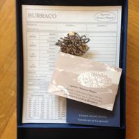 Pinza burraco Giovanni Raspini