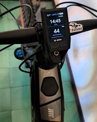 E bike Focus Jam 2