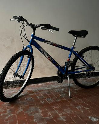 Bicicletta Bici MountainBike