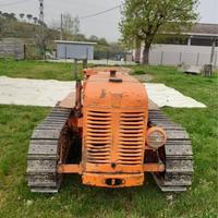 Trattore a cingoli fiat 351 cv 35