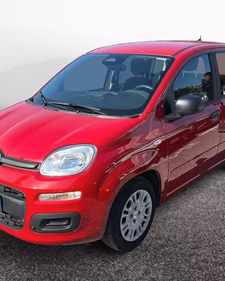 FIAT Pandina New PANDA Panda 1.0 70cv Hybrid ...
