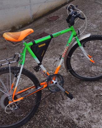 Mountain bike 