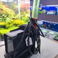 Red Dragon Pump