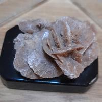 Rosa del deserto Sandrosen Pietra Minerale da coll