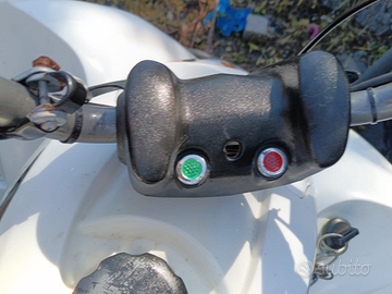 QUAD LEM 150 a benzina
