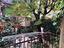 Immagine 28