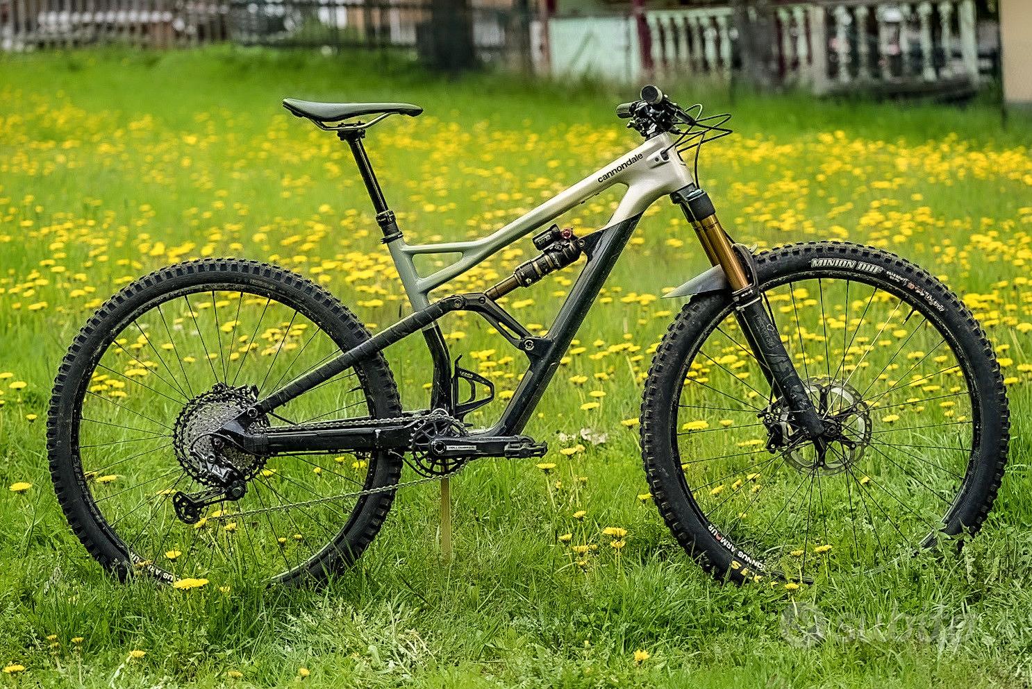 Cannondale jekyll 1 store 2020