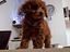 Immagine 24