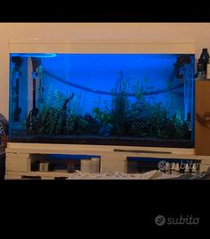Acquario dolce, completo